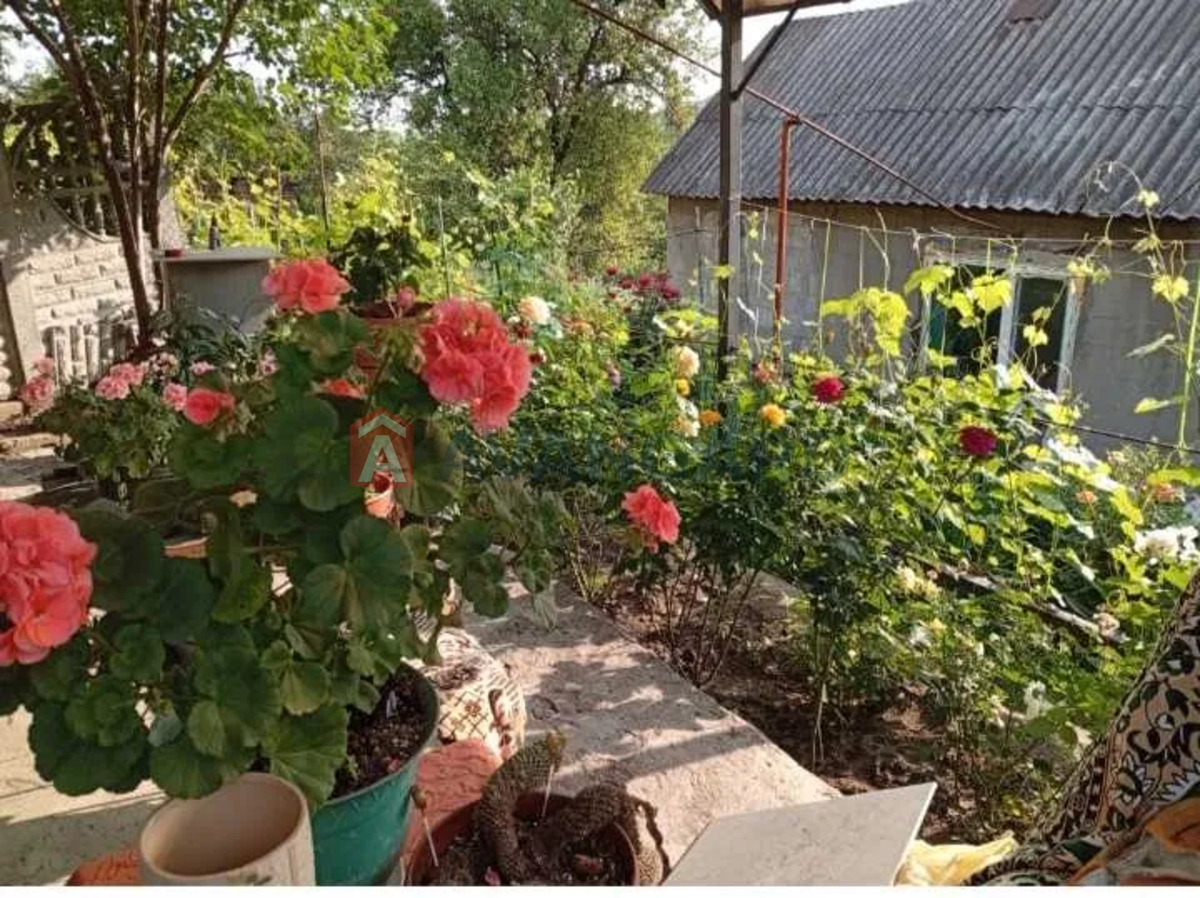 ������� �������, 38 ��.�. ���� 21