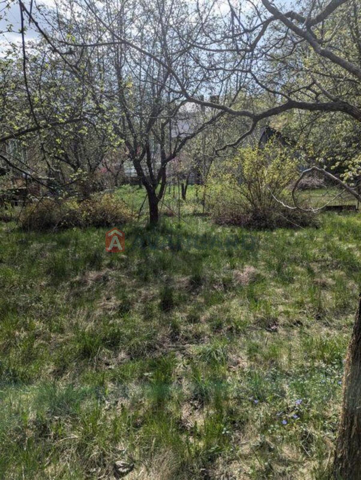 �������, 86 ��.�. ���� 7