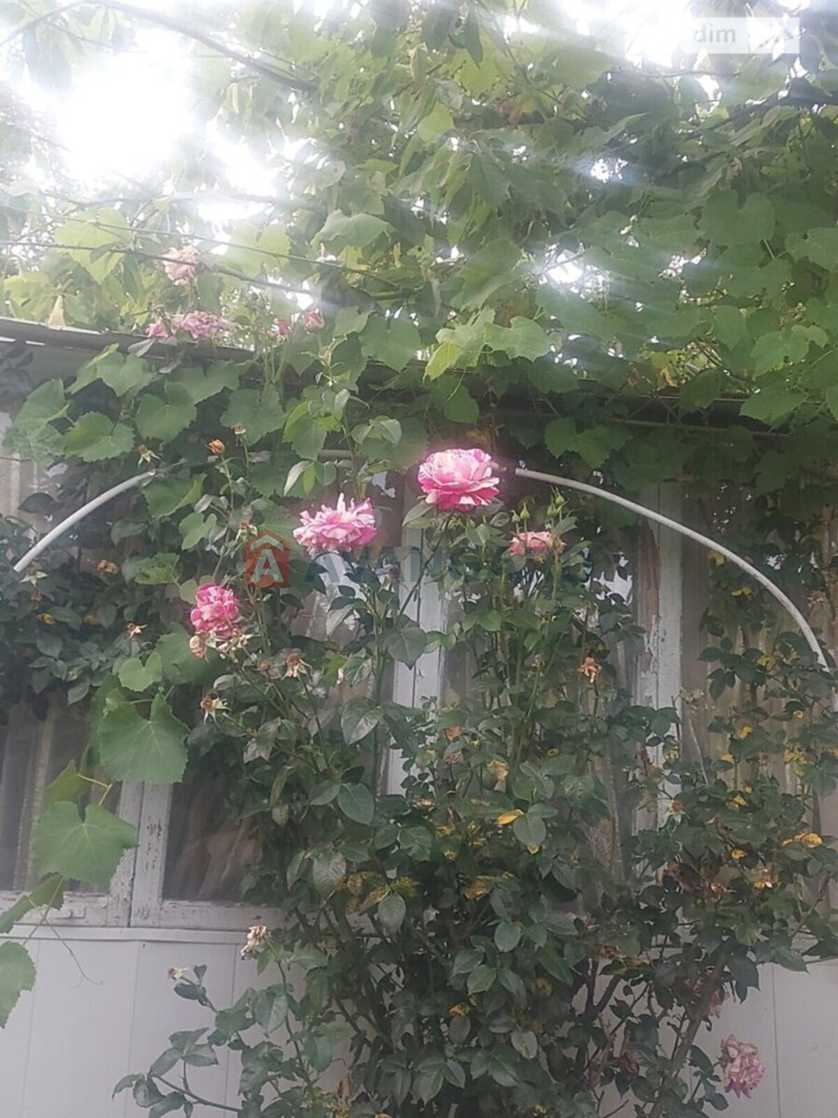 ����, 55 ��.�. ���� 7