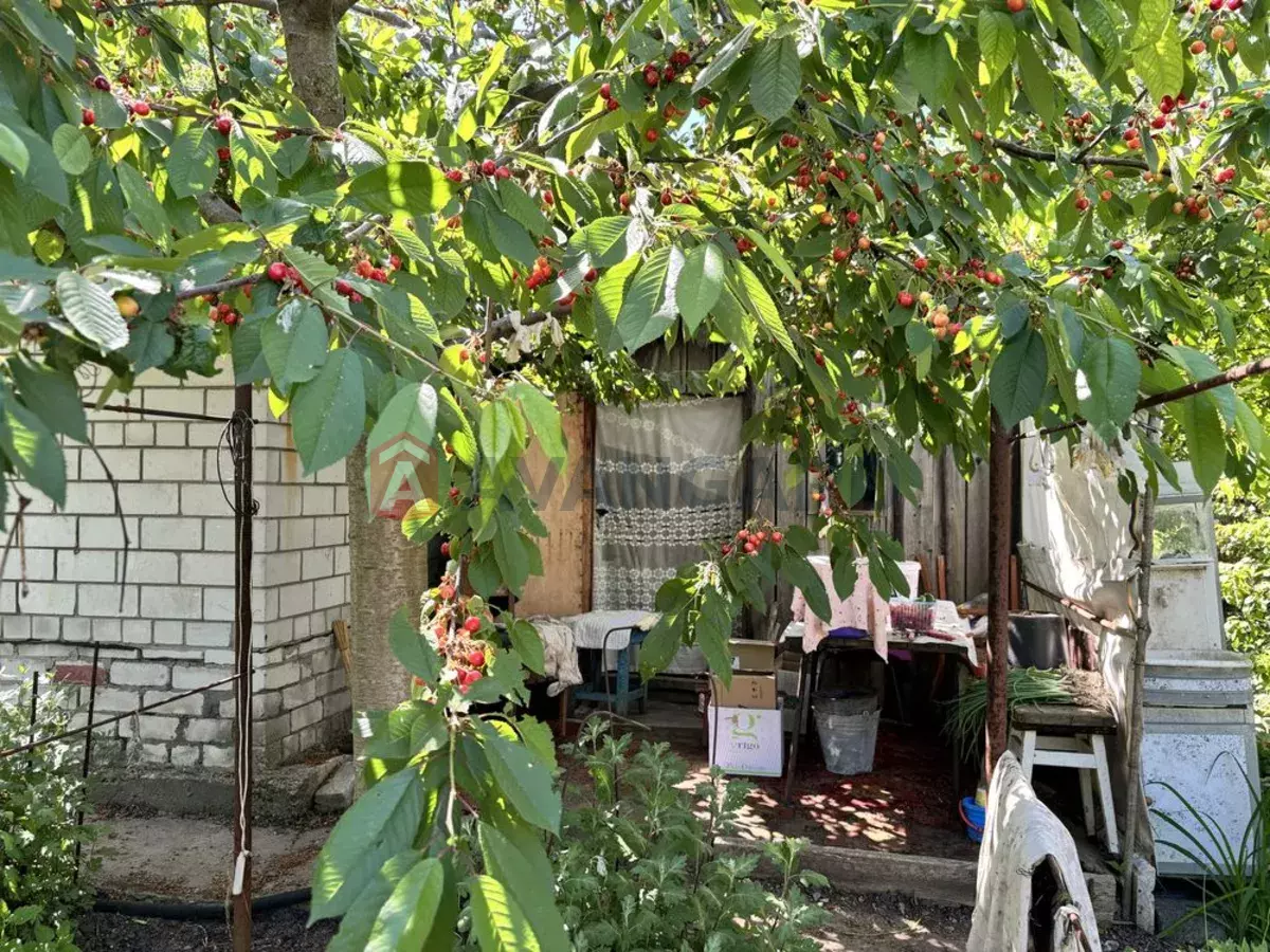 25 ��.�. ���� 3