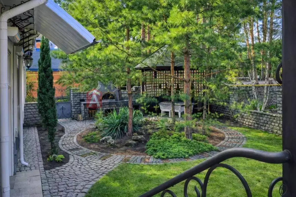 �������, 217 ��.�. ���� 1