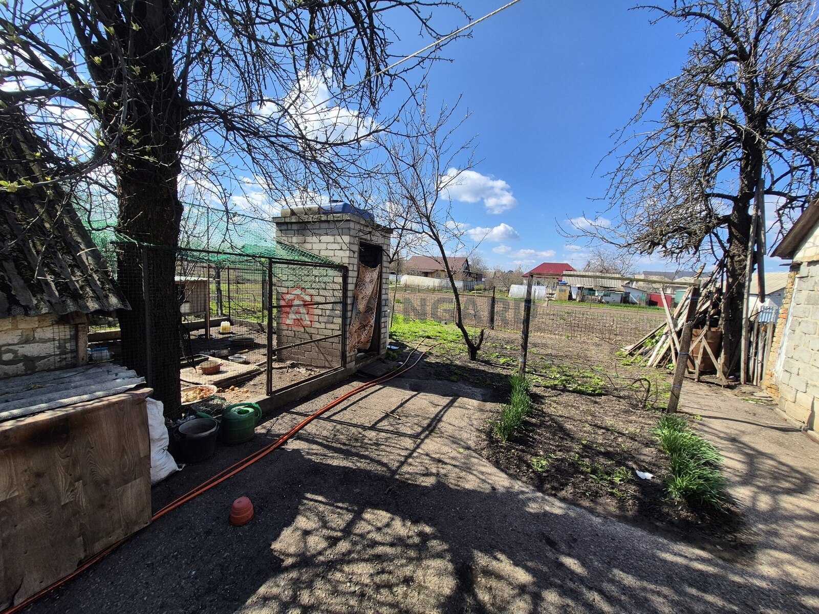 ���, 80 ��.�. ���� 3