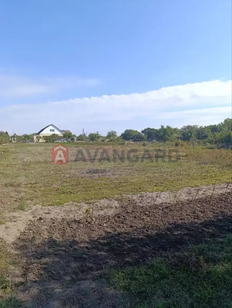 �������, 72 ��.�. ���� 8