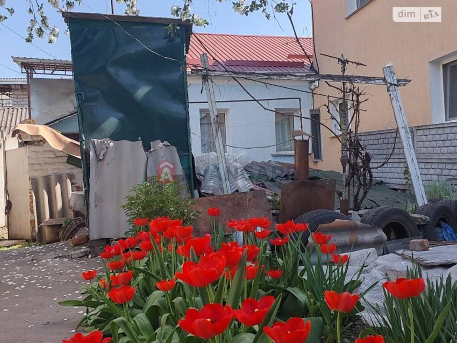 ������� �������, 30 ��.�. ���� 6