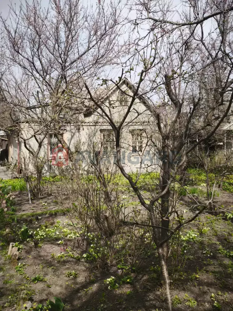 �������, 64 ��.�. ���� 2