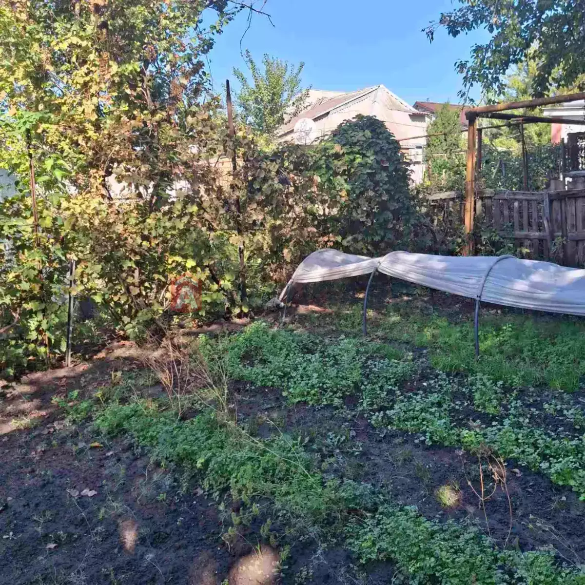 ������� �������, 37 ��.�. ���� 13