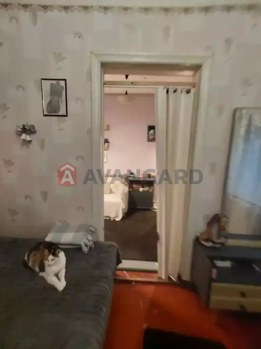 ���, 65 ��.�. ���� 5