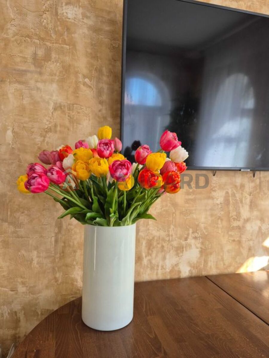 �������, 176 ��.�. ���� 8