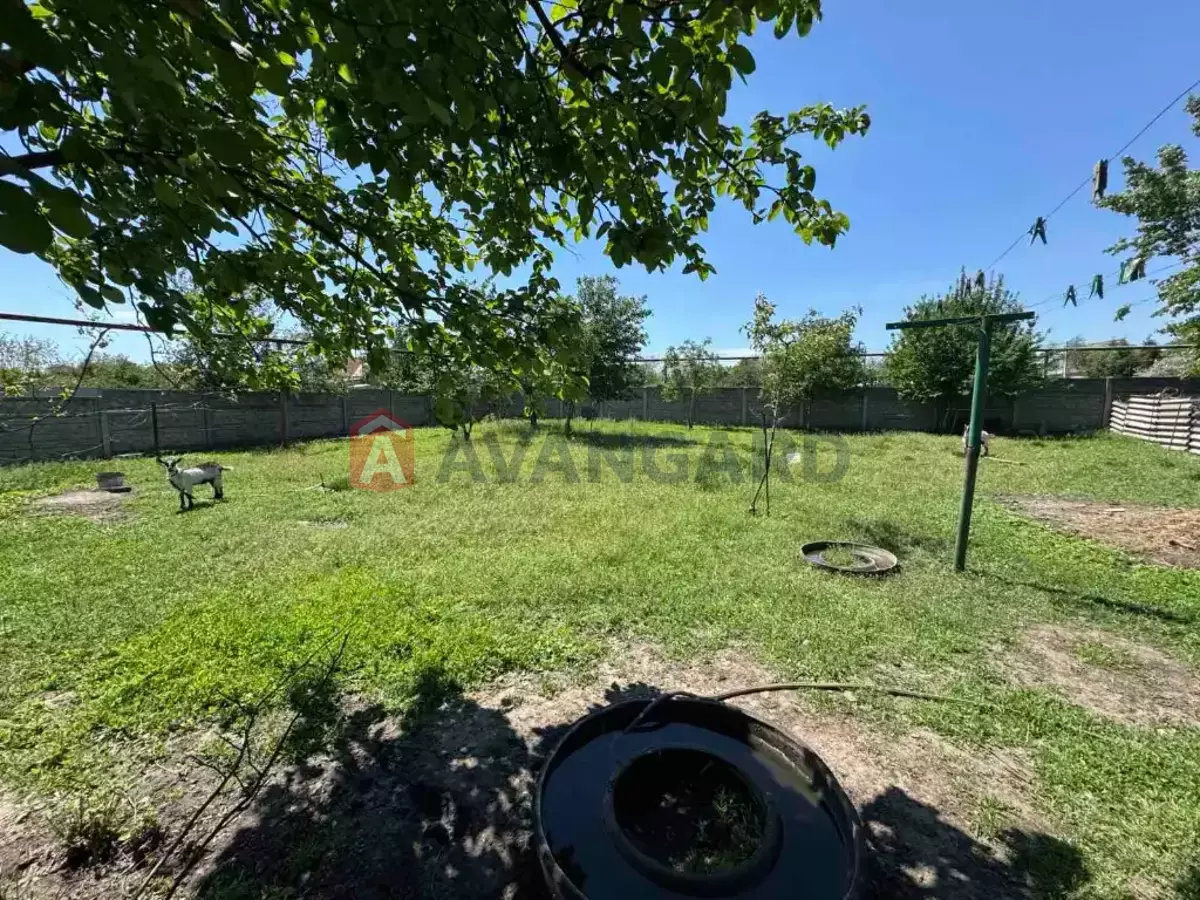 �������, 210 ��.�. ���� 5