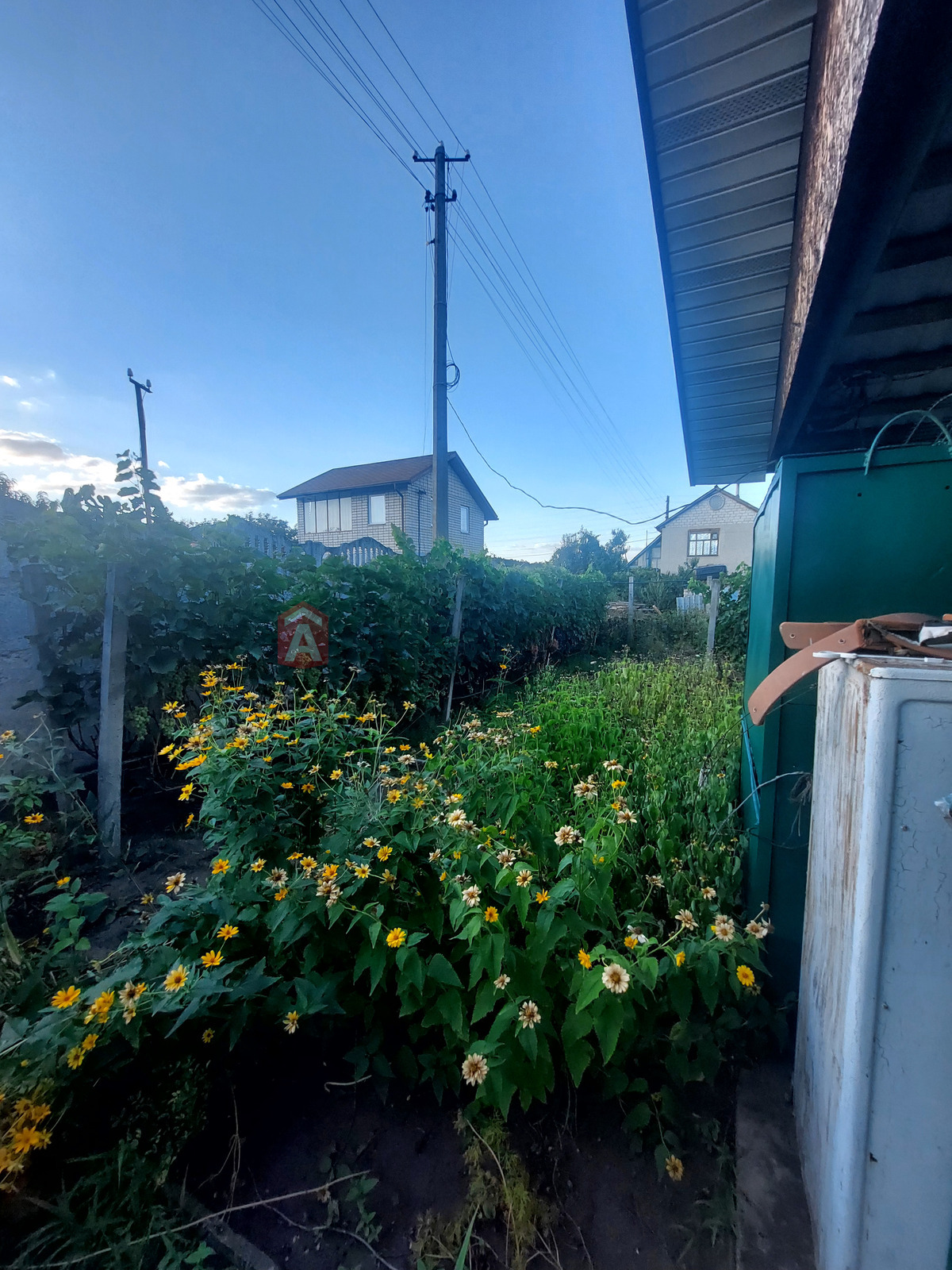 ����, 25 ��.�. ���� 8