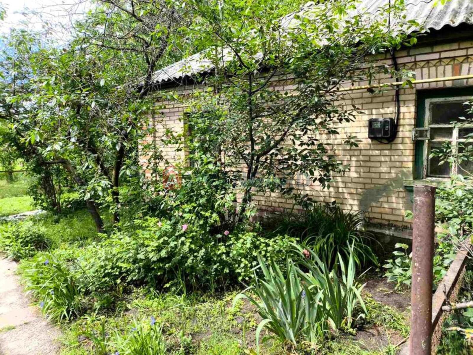 �������, 61 ��.�. ���� 19