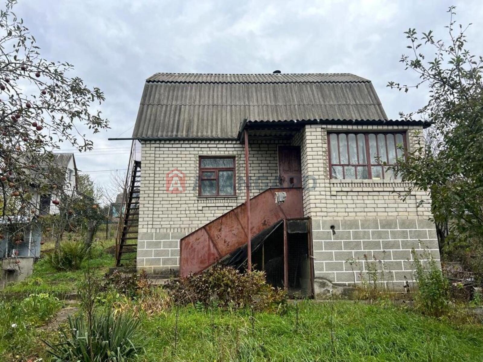 �������, 79 ��.�. ���� 12