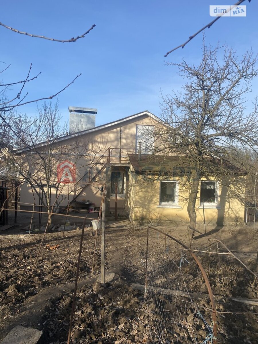 �������, 100 ��.�. ���� 17