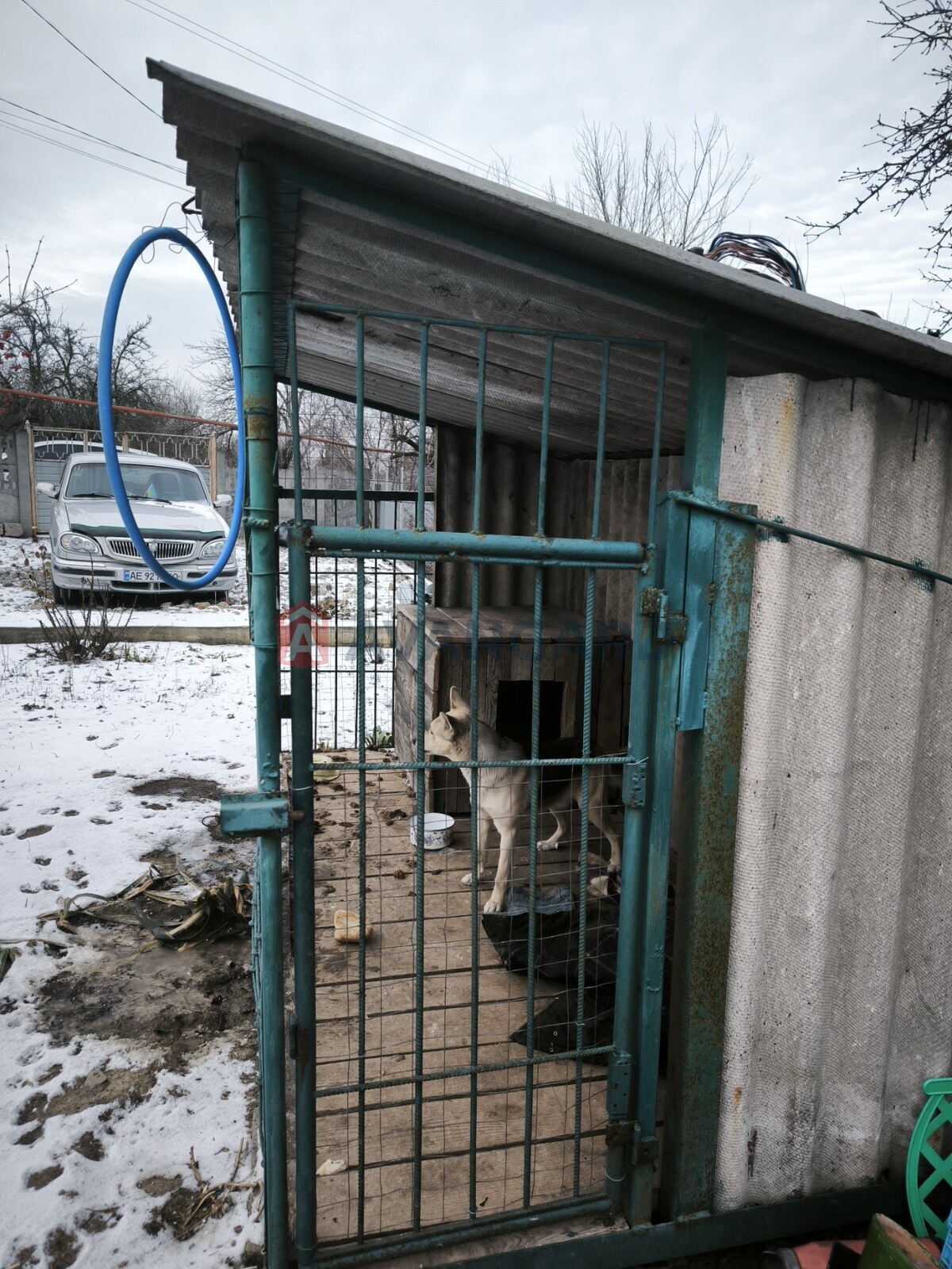 �������, 138 ��.�. ���� 6