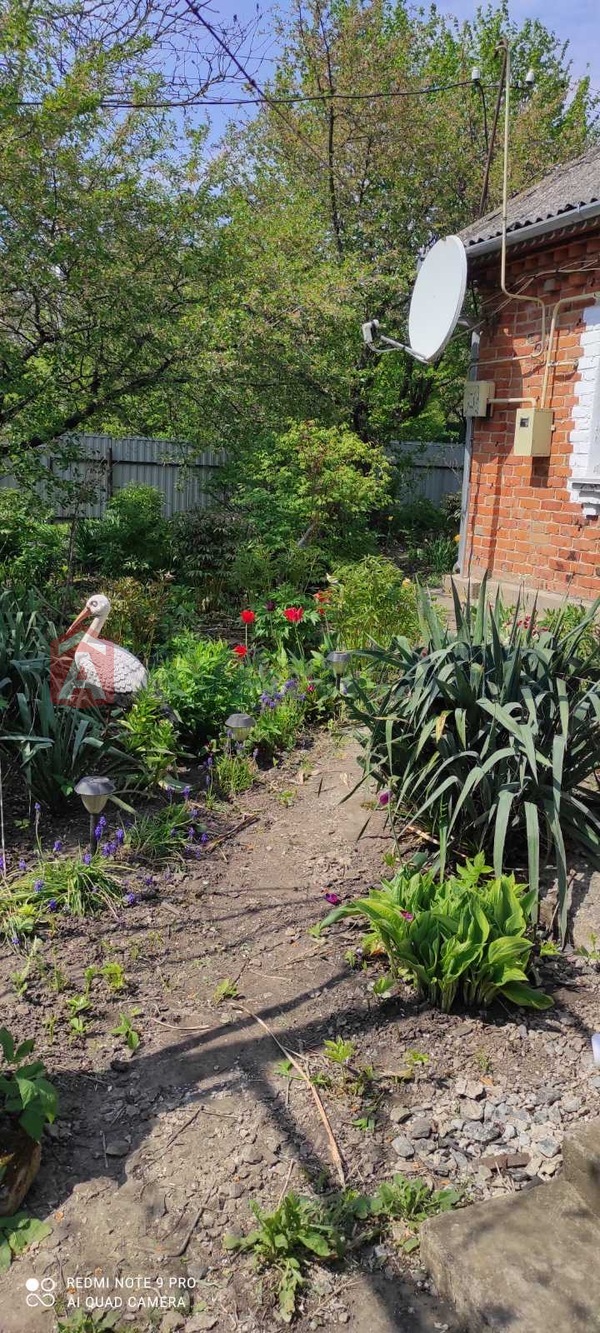 ���, 56 ��.�. ���� 9