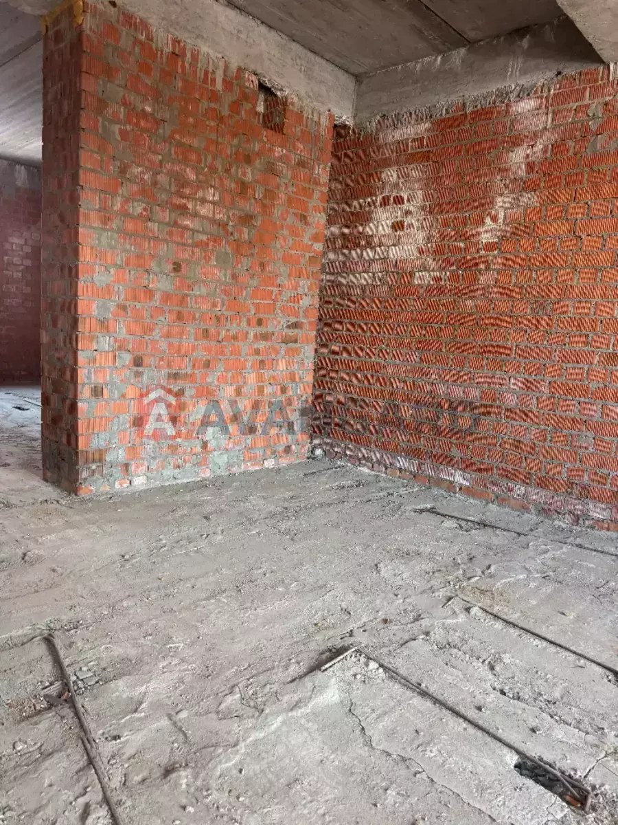 206 ��.�. ���� 10