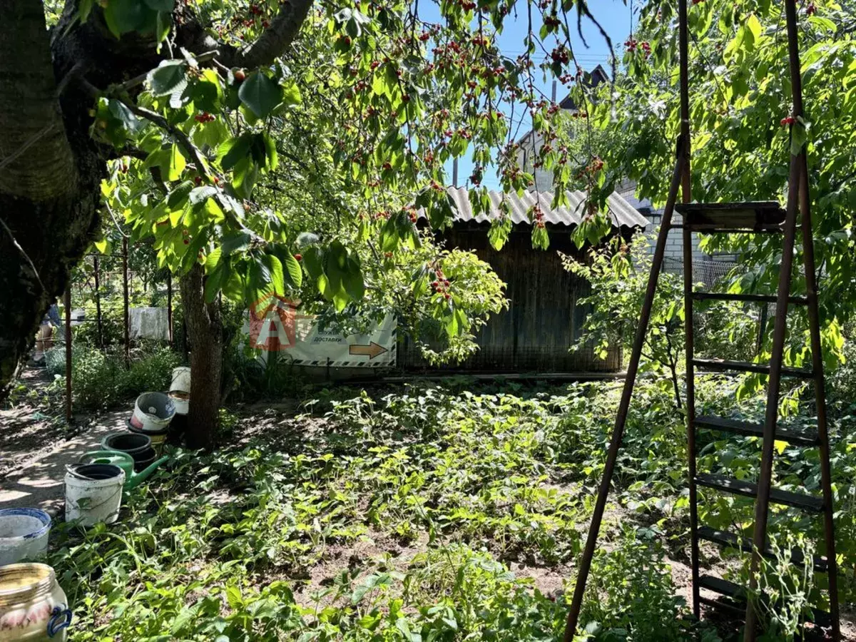 25 ��.�. ���� 6