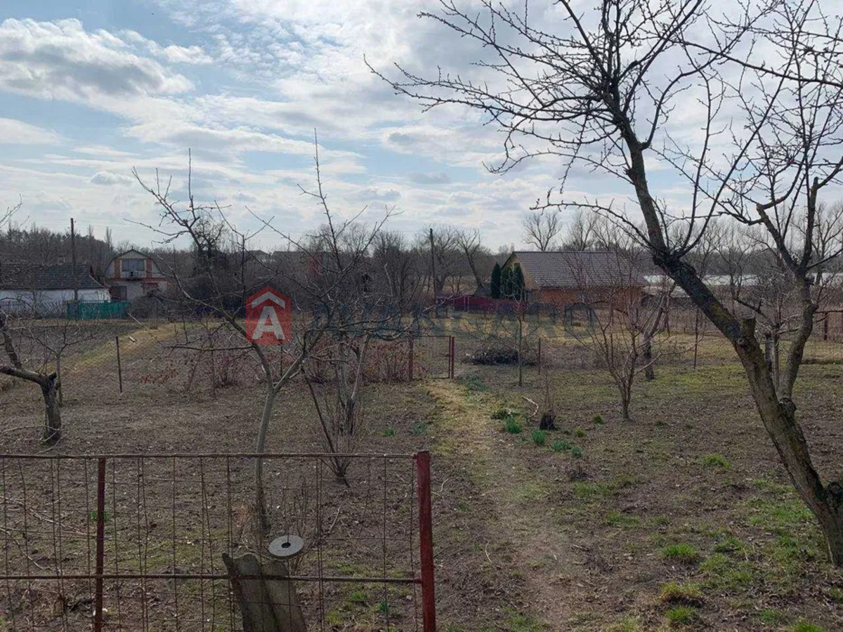 �������, 70 ��.�. ���� 12