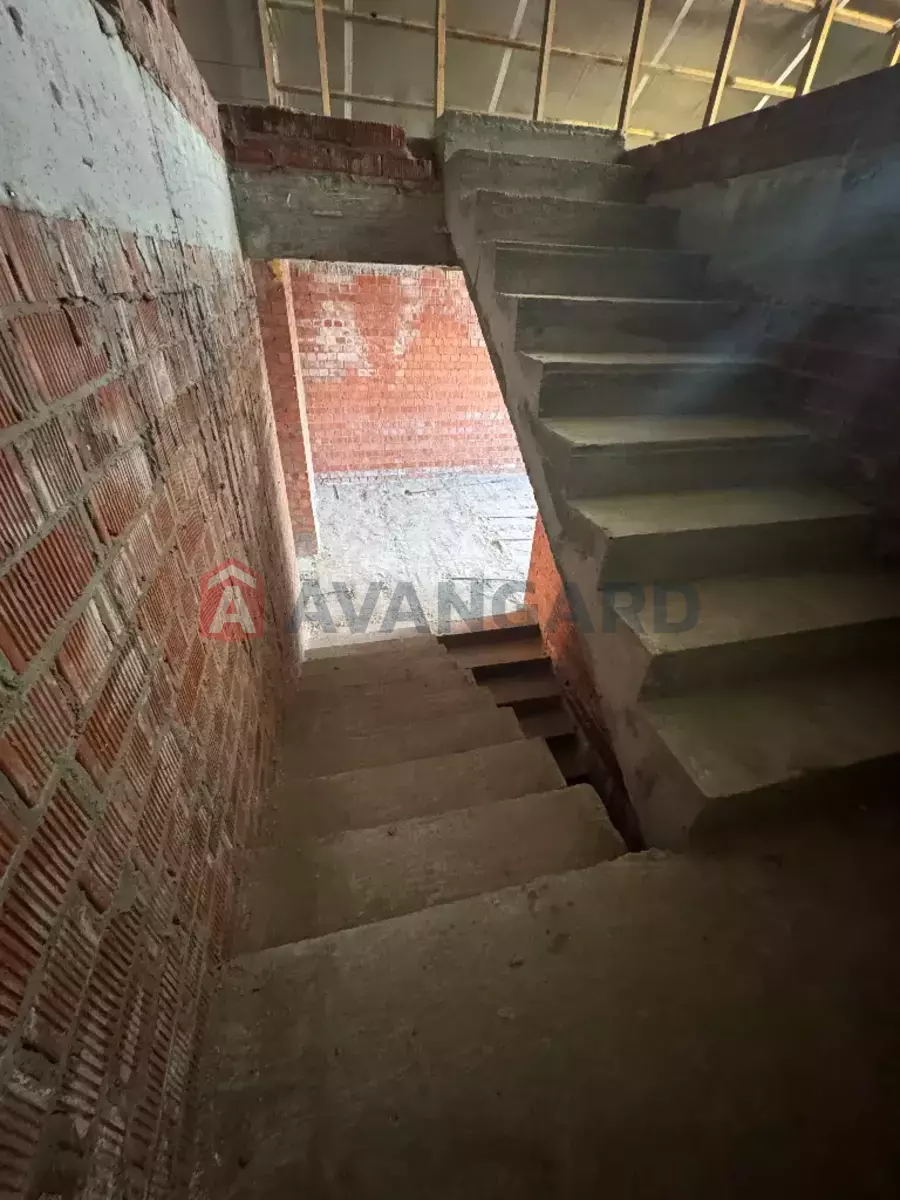 206 ��.�. ���� 15