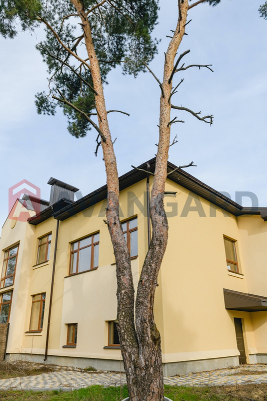 ��������, 315 ��.�. ���� 5