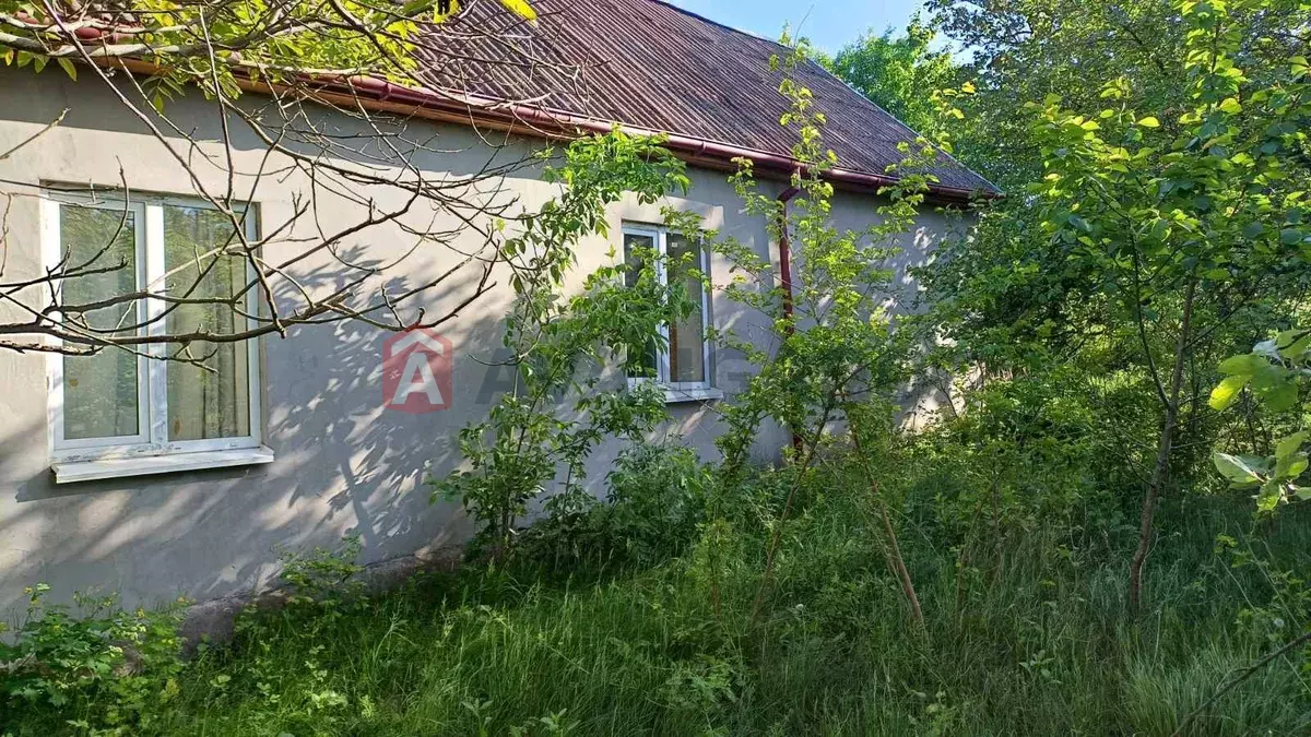�������, 70 ��.�. ���� 3