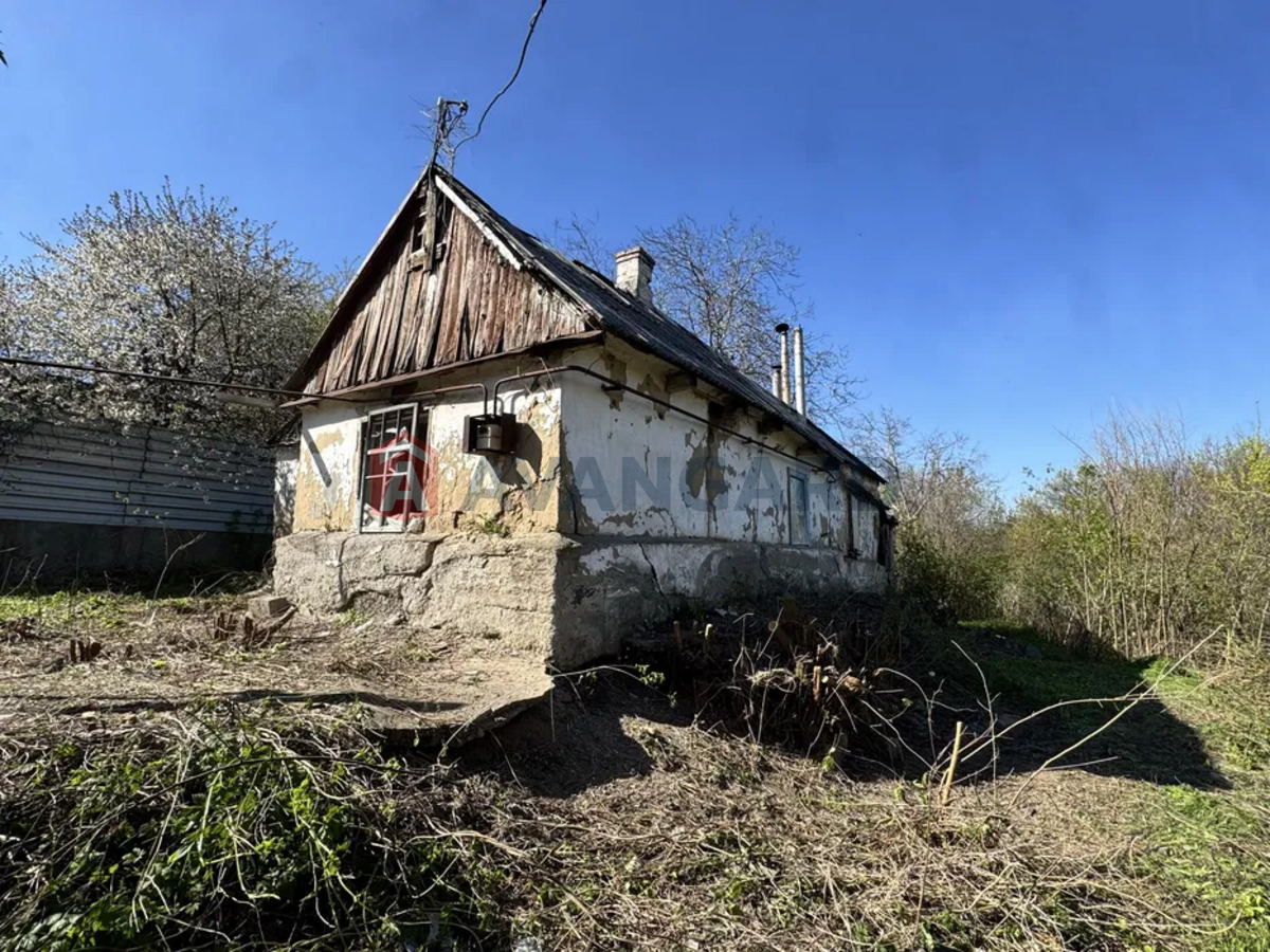 �������, 110 ��.�. ���� 5