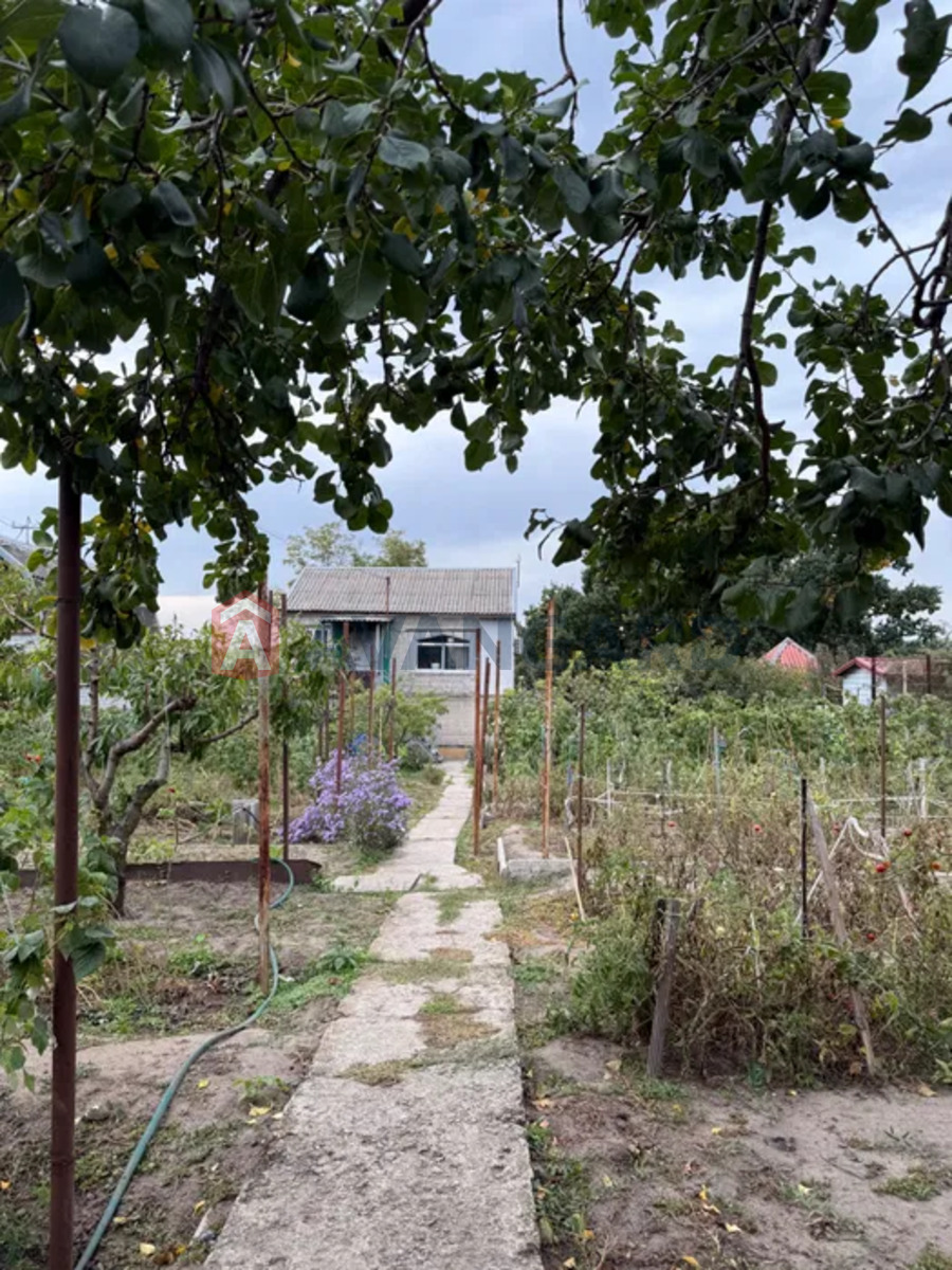 �������, 80 ��.�. ���� 7