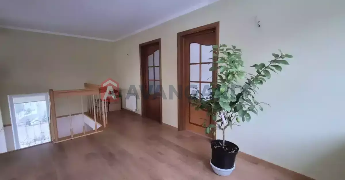 �������, 106 ��.�. ���� 8