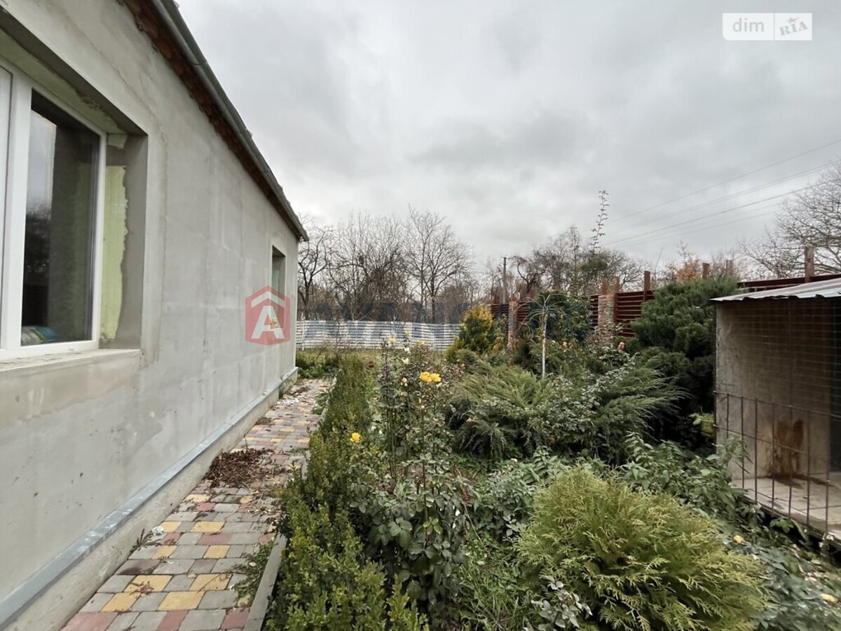 �������, 77 ��.�. ���� 19