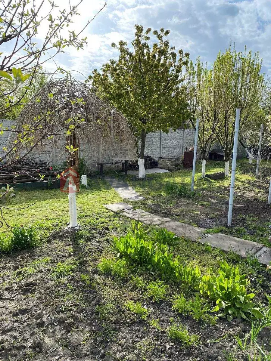 ����, 46 ��.�. ���� 16