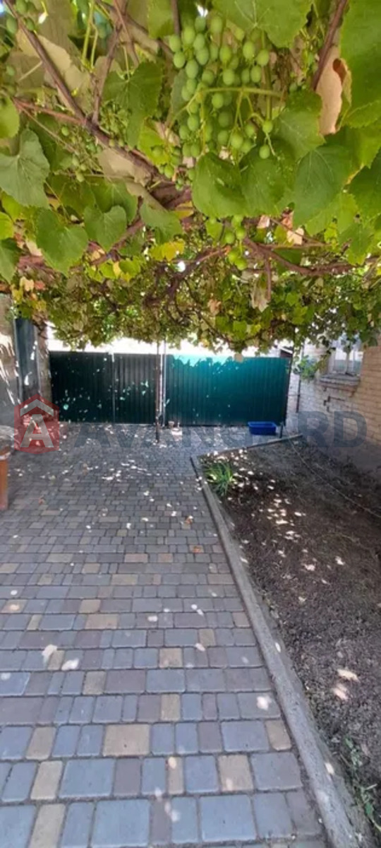 �������, 80 ��.�. ���� 5