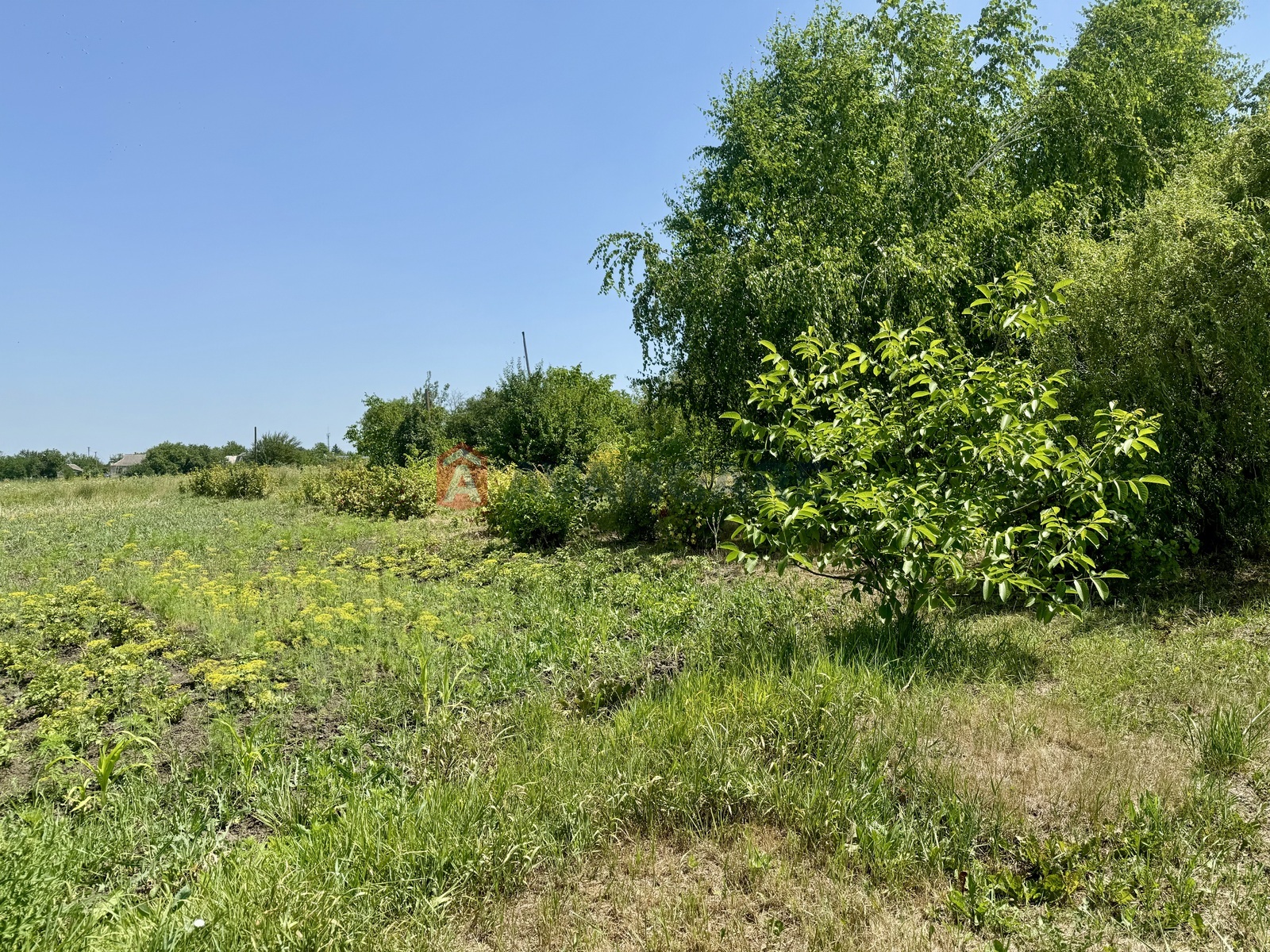 ���, 191 ��.�. ���� 16