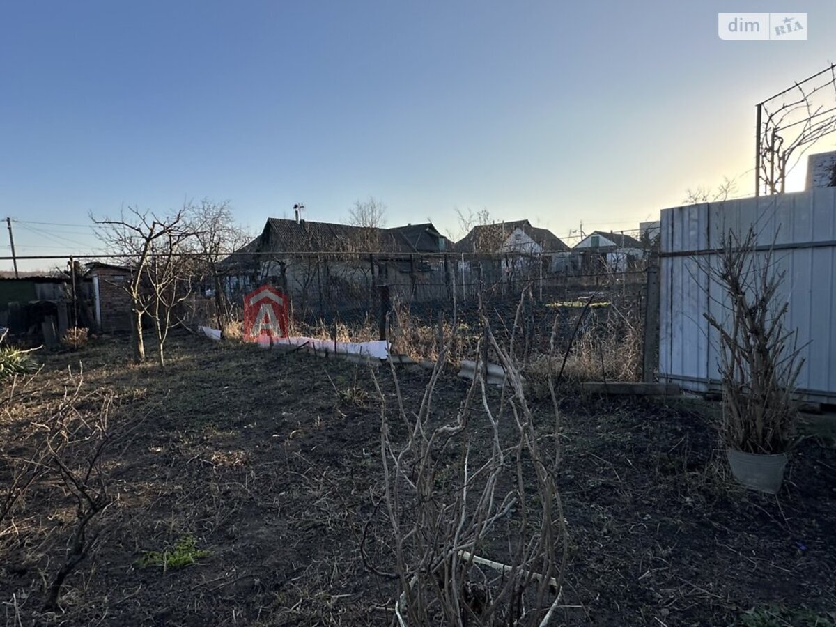 �������, 71 ��.�. ���� 5