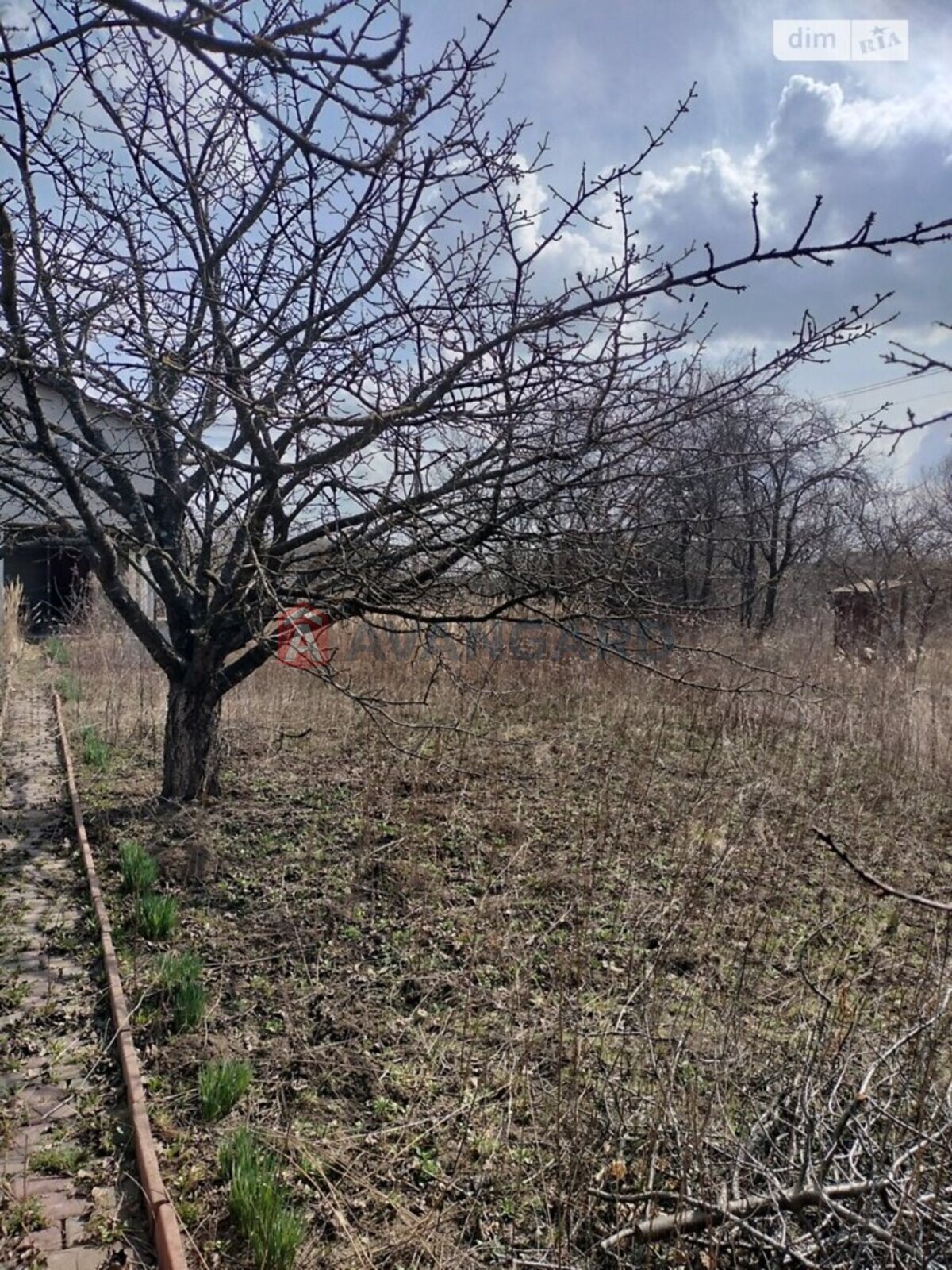 �������, 200 ��.�. ���� 8