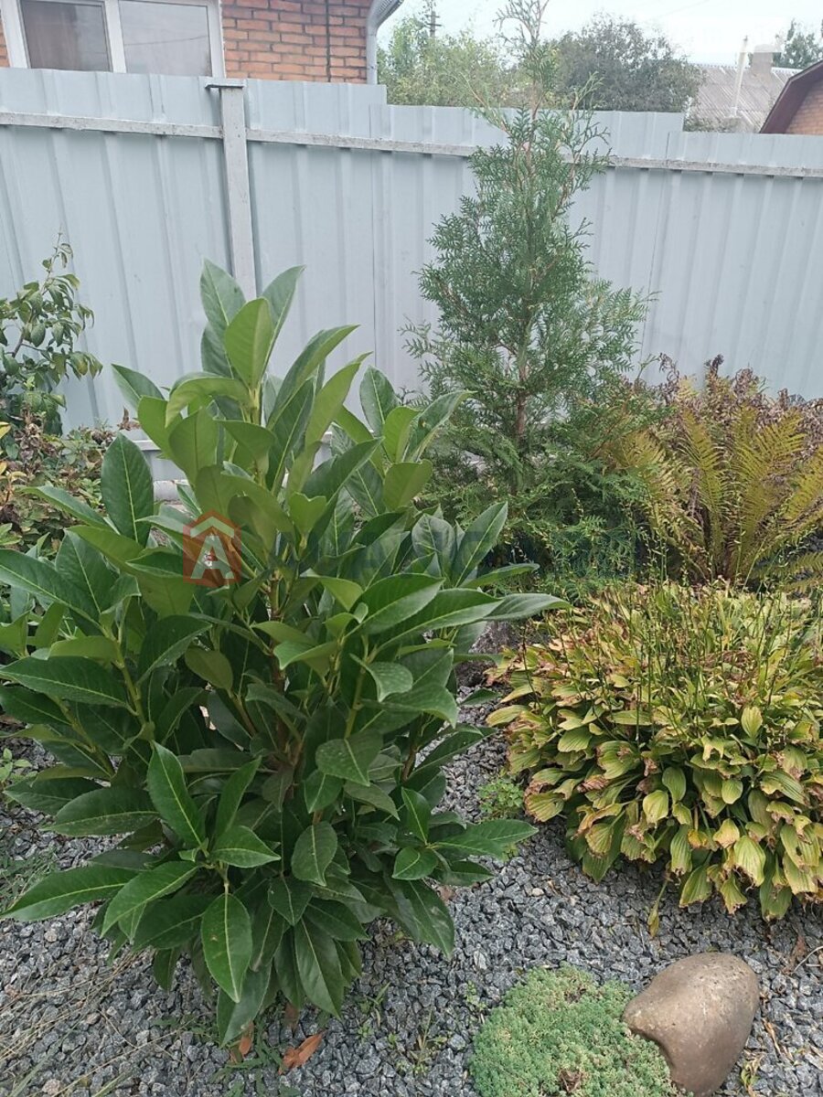 ���, 84 ��.�. ���� 18