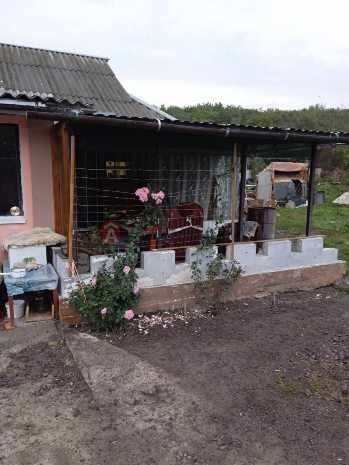 �������, 67 ��.�. ���� 20