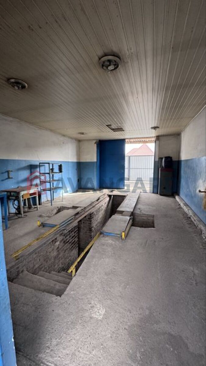 �������, 65 ��.�. ���� 10