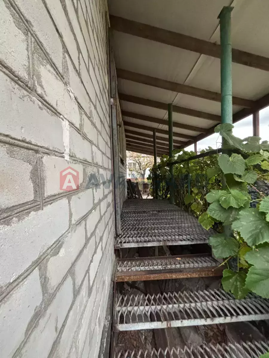 �������, 52 ��.�. ���� 5