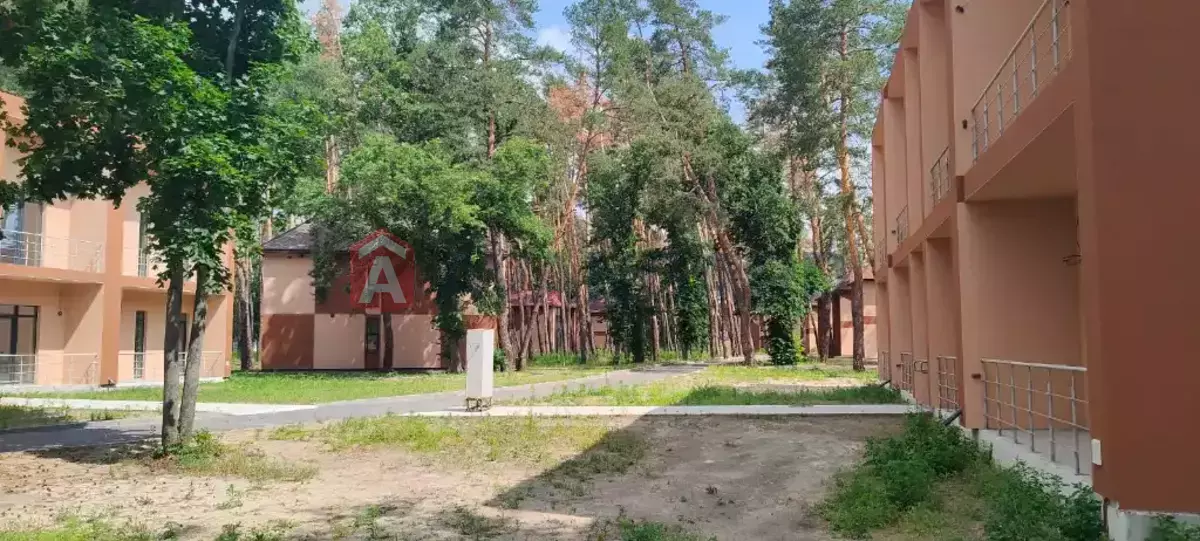 100 ��.�. ���� 20