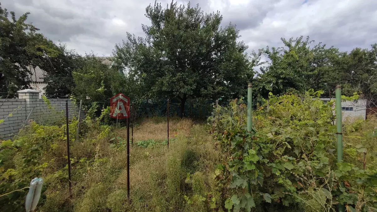 ���, 167 ��.�. ���� 8