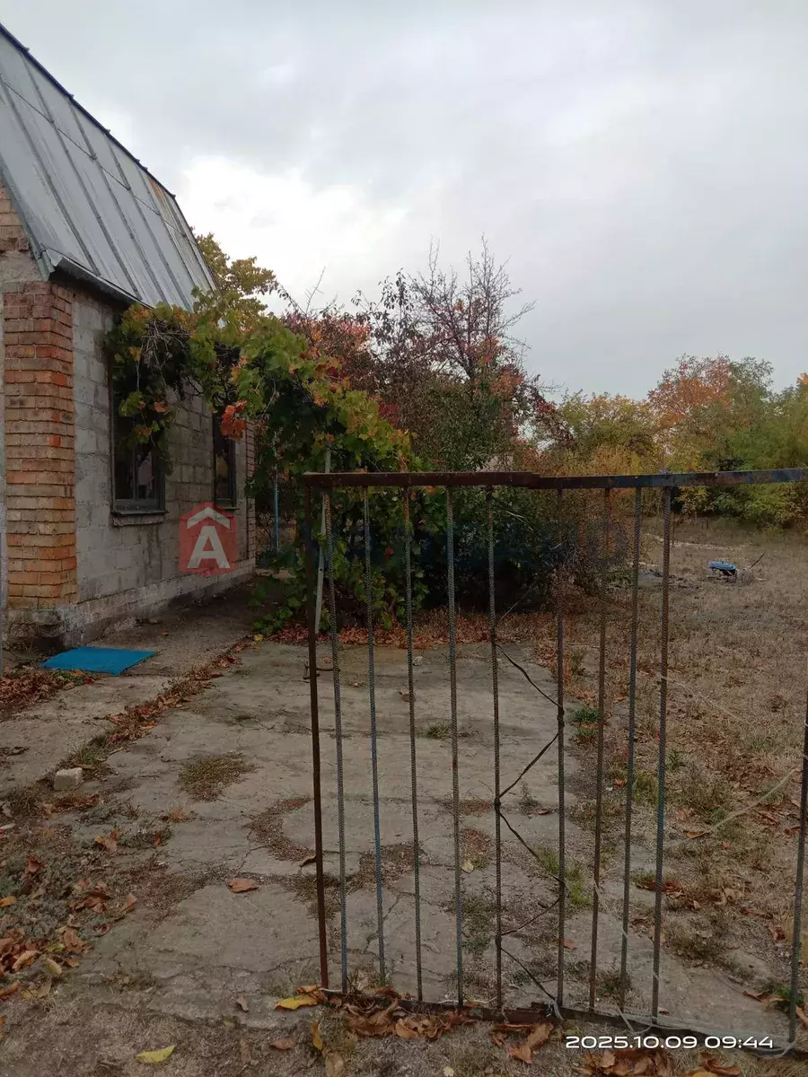 ����, 33 ��.�. ���� 5