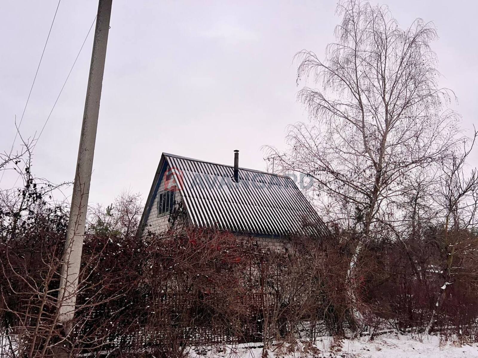 ����, 50 ��.�. ���� 14