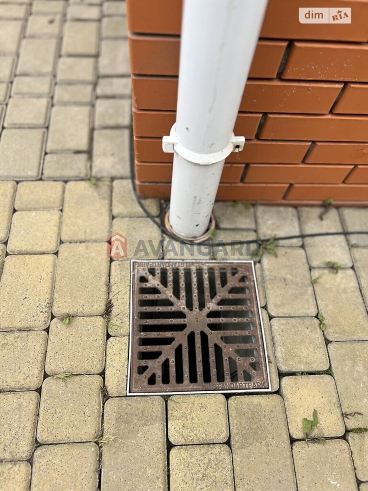 �������, 226 ��.�. ���� 8