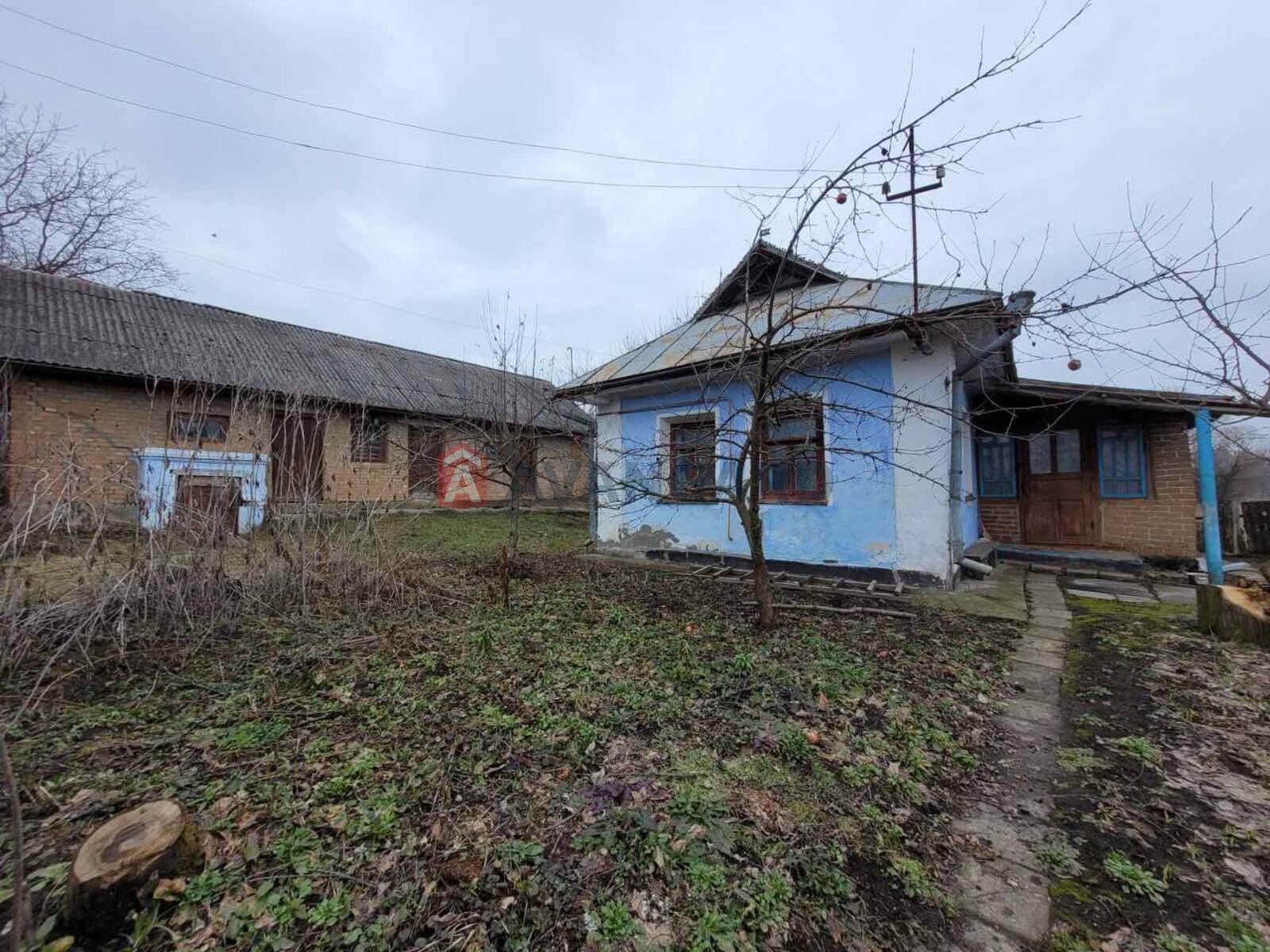 �������, 60 ��.�. ���� 6