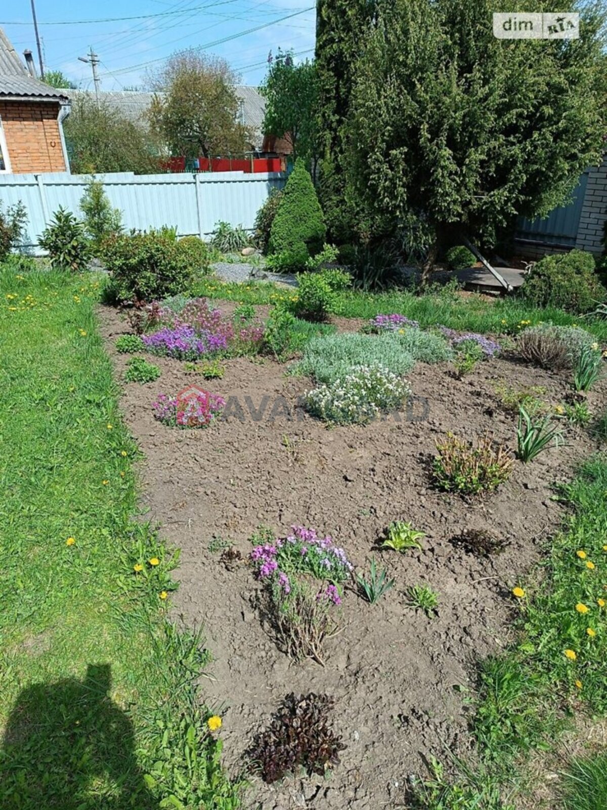 ���, 84 ��.�. ���� 27