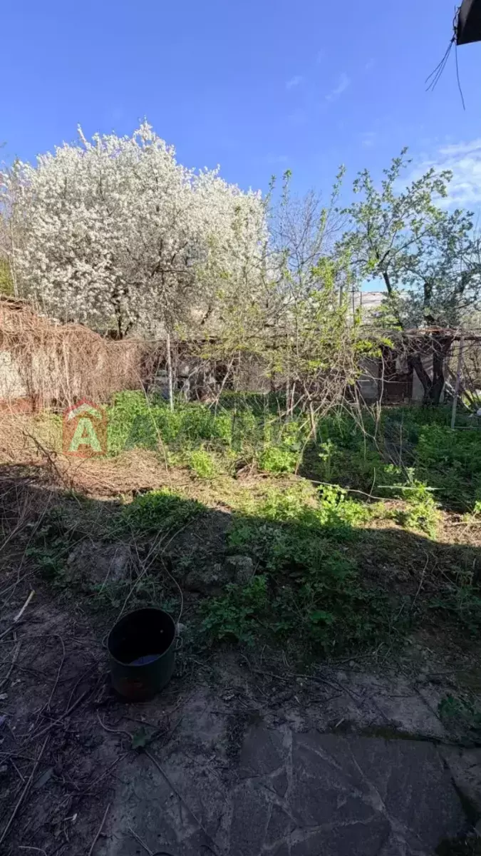 ������� �������, 42 ��.�. ���� 3