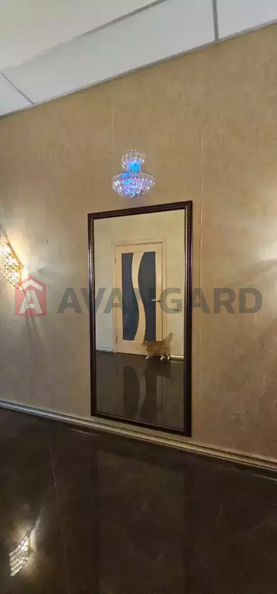 �������, 202 ��.�. ���� 28