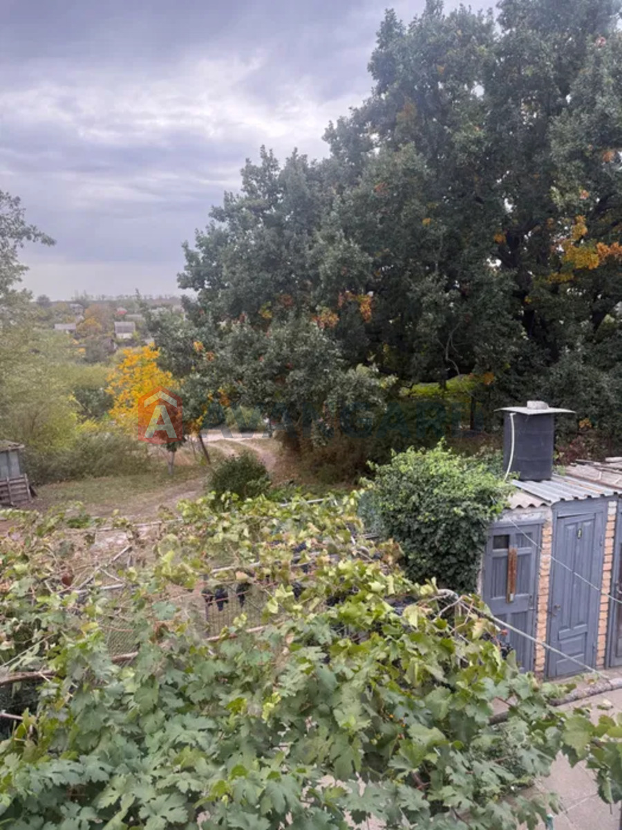 �������, 80 ��.�. ���� 17