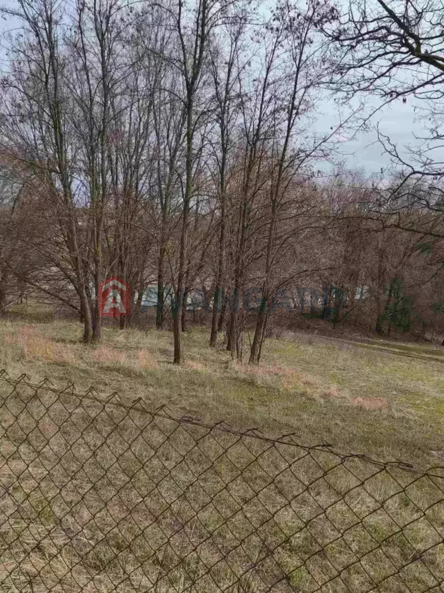 �������, 39 ��.�. ���� 20