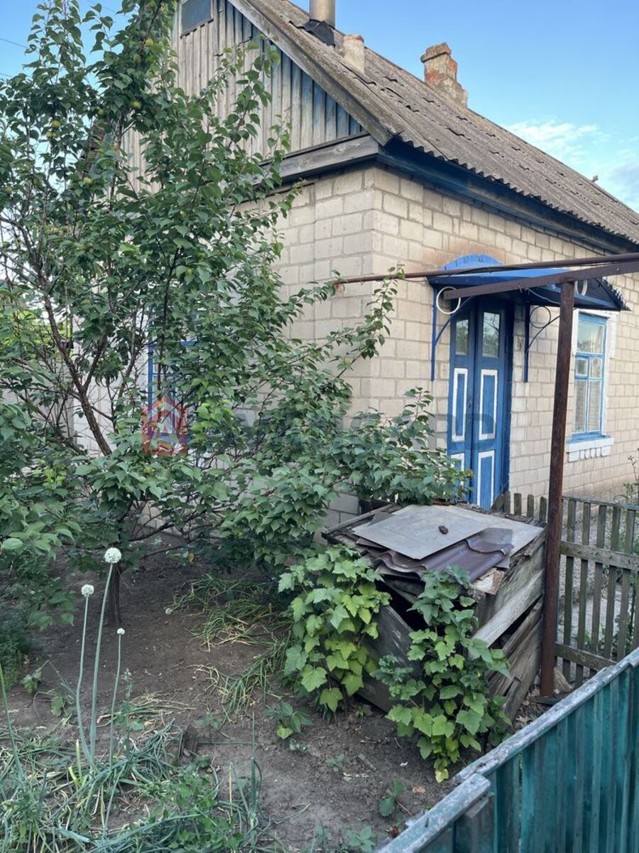 �������, 65 ��.�. ���� 3